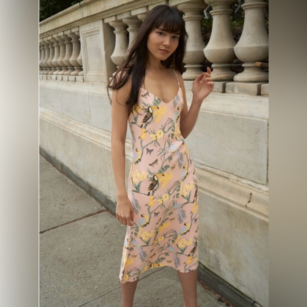 🌴Reformation Chianti Midi Dress Pink Congo Tropical Bird Print Size S
